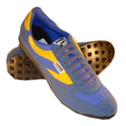 Walsh PB Trainer